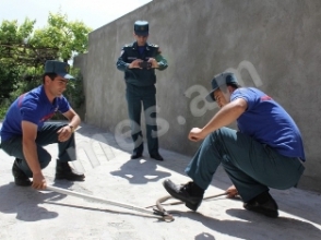 Վերին Շենգավիթի տներից մեկի բակում օձ է հայտնաբերվել