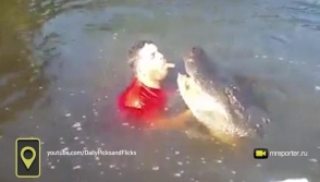 Американец нырнул в пруд к аллигатору, чтобы поиграть