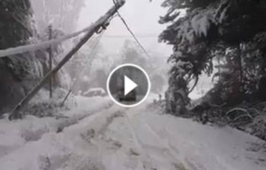 Сильный снегопад парализовал аргентинский город Рио-Негро (видео)