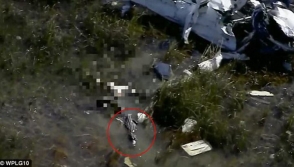 Аллигаторы разорвали оказавшегося в болоте пилота (видео)
