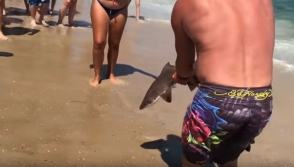 В Нью Джерси отдыхающие «голыми руками» спасли оказавшуюся на суше акулу