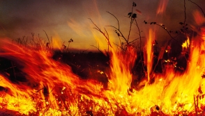 Թբիլիսիի կենտրոնում անտառ է այրվում