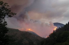 Բորժոմի անտառներում հրդեհ է բռնկվել․ այն չի հաջողվում մարել