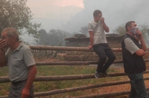 Пожар в Боржоми-Харагаульском лесу движется к селу Даба