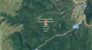 В национальном парке «Дилижан» зафиксирован случай незаконной вырубки леса