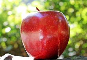 Թբիլիսիի դպրոցականներին մեկական խնձոր կբաժանեն մեծ դասամիջոցին