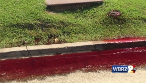 Մահացածների արյունը հեղեղել է ամերիկյան փողոցներից մեկը