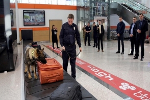 Ուշադրություն, խելացի շուն․ Վրաստանի օդանավակայանները նոր «աշխատակիցներ» ունեն