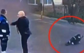 Ստամբուլի պարեկային վարչության պետը փողոցում ծեծել է մի ոստիկանի (տեսանյութ)
