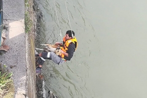 Թբիլիսիում փրկել են Քուռ գետում խեղդվող շանը