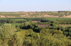 Թուրքիայի սահմանային գոտիներում արգելվել է ծառեր տնկել
