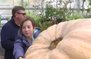 Самая большая тыква в России