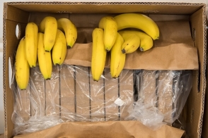 В магазинах Польши в бананах нашли 170 килограммов кокаина
