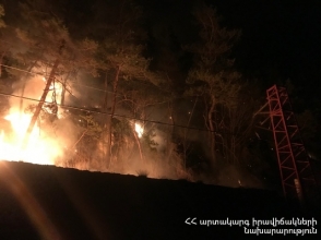 Վահագնաձոր գյուղում այրվել է մոտ 6 հա խոտածածկույթ