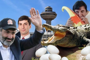 Երբ կոկորդիլոսը դառնում է թռչուն. ինչպե՞ս վարվել կոկորդիլոսի ձվերի հետ․ 7or TV