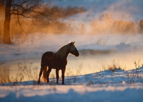 Օդի ջերմաստիճանը կնվազի