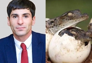 Губернатор: «Крокодильи яйца будут импортированы в Армению под видом птичьих»
