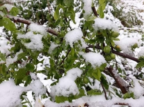 Ձյուն է տեղացել նաև Հայաստանի ամենատաք վայրում