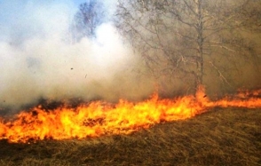Պուշկինո գյուղից հարավ-արևմուտք մոտ 5000 քմ խոտածածկույթ է այրվել