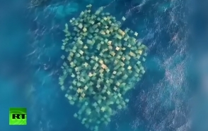 Беспилотник заснял сотни скатов-бычерылов у берегов Австралии