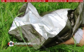 Վայոց Ձորի մարզում 15-ամյա տղայի դի է հայտնաբերվել