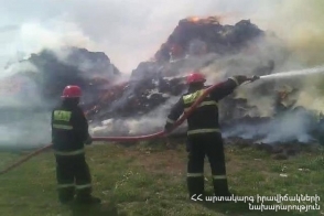Իսակովի պողոտայում մոտ 5 հա բուսածածկույթ է այրվել