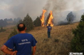 Մեղրիում 5 հա խոտածածկույթ է այրվել