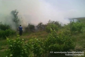 Մուսալեռ գյուղում 7 հա խոտածածկույթ է այրվել