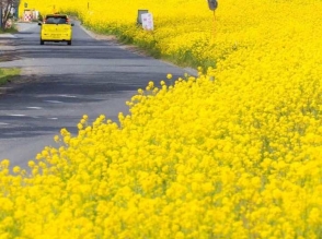 Օդի ջերմաստիճանն էապես չի փոխվի