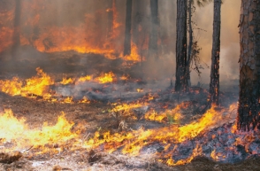 Ահազանգեր են ստացվել տարբեր խոտածածկ տարածքներում բռնկված հրդեհների վերաբերյալ