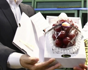 В Японии гроздь винограда «Римский рубин» продана за $11 тыс. – СМИ