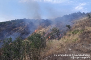 Մոտ 20.5 հա խոտածածկ տարածքներում հրդեհներ են բռնկվել