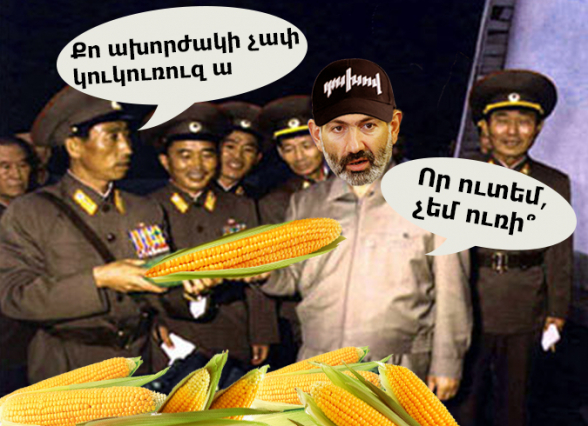 Когда кукуруза взрастает неправильно – 7orTV