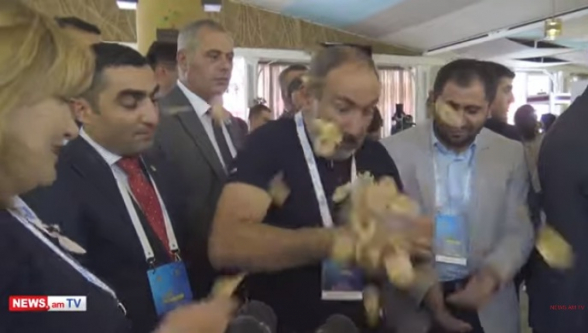 «Չարը խափանվեց». Փաշինյանը թափեց խնձորի չիպսը