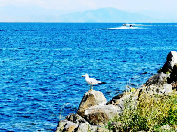 Սևանա լճից 51 միլիոն խ/մ ջուր պակաս է բաց թողնվել