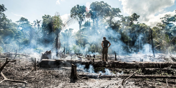 Бразилия направила 44 тысячи военных для борьбы с пожарами в Амазонии
