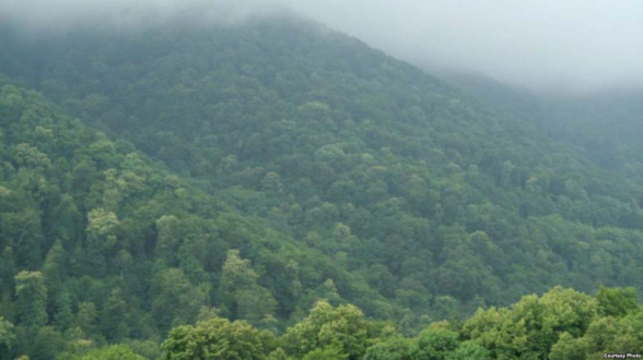 Անտառապահների և անտառապետերի աշխատավարձերը կբարձրանան