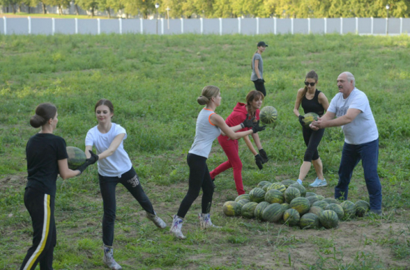 Լուկաշենկոն մասնակցել է ձմերուկի բերքահավաքին (լուսանկարներ, տեսանյութ)