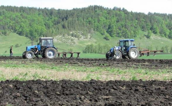 Արմավիրի գյուղերում այգիները գրեթե չորացել են