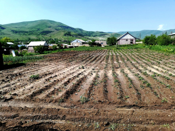 Գյուղատնտեսության ոլորտում առաջին կիսամյակում արձանագրվել է 7,4 տոկոս անկում․ «Ժողովուրդ»