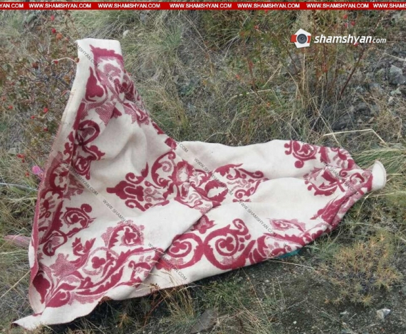 Գեղարքունիքի մարզում հայտնաբերվել է որպես անհայտ կորած որոնվող 15-ամյա աղջնակի դին (տեսանյութ)