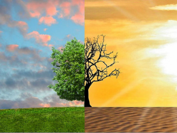 Для борьбы с глобальным потеплением понадобится почти $2 трлн – эксперты