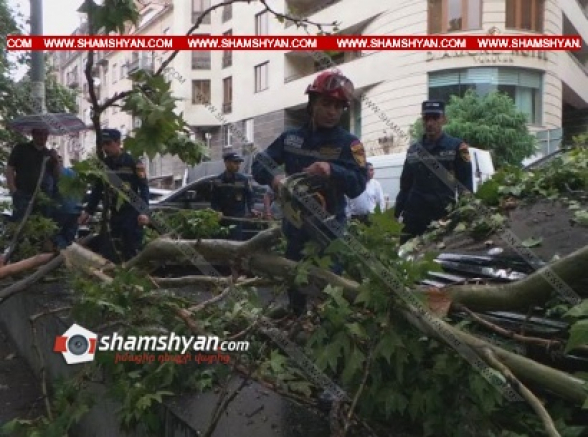 Երևանում ուժեղ քամուց ծառի որոշ հատված ընկել ու վնասել է երկու Mercedes-ն ու BMW X5-ը