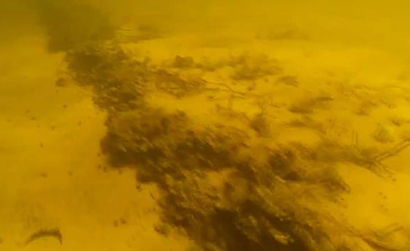 На дне Волги нашли затонувшую около 600 лет назад ладью