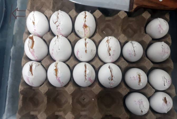 ՍԱՏՄ-ն լայնամասշտաբ մշտադիտարկումներ է անցկացում Շիրակի մարզում