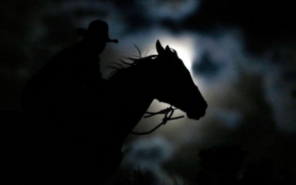 Բավրայի սահմանակետում անհայտ անձը ձիով խախտել է ՀՀ պետական սահմանը. ձին, առանց ձիավորի, ետ է վերադարձել