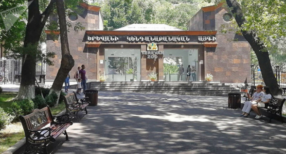 Կենդանաբանական այգում մուֆլոններին հոշոտելու դեպքը լավ կազմակերպված ակցիա էր՝ ընդդեմ այգու տնօրենի. «Իրատես»