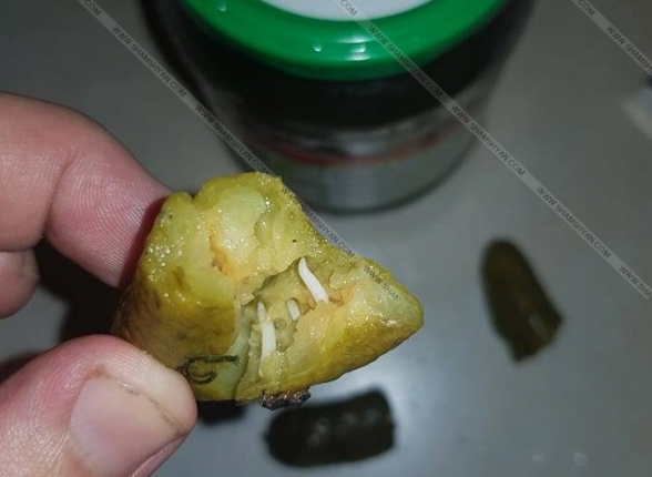 Գնել են «Lutik» ապրանքանիշի մարինացված վարունգ, որի մեջ հայտնաբերել են որդեր