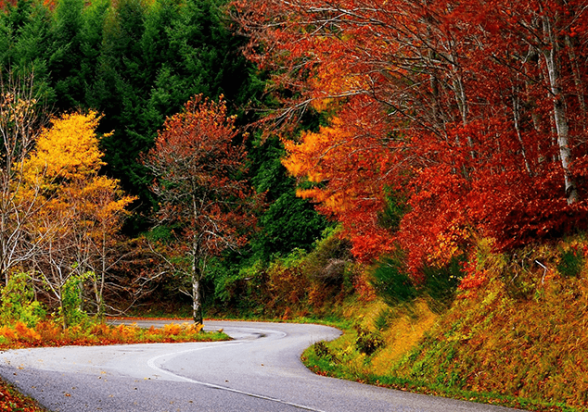 Սպասվում է առանց տեղումների եղանակ