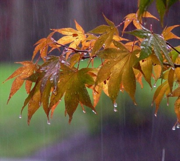 Դեկտեմբերի 5-ի ցերեկը սպասվում են թույլ տեղումներ